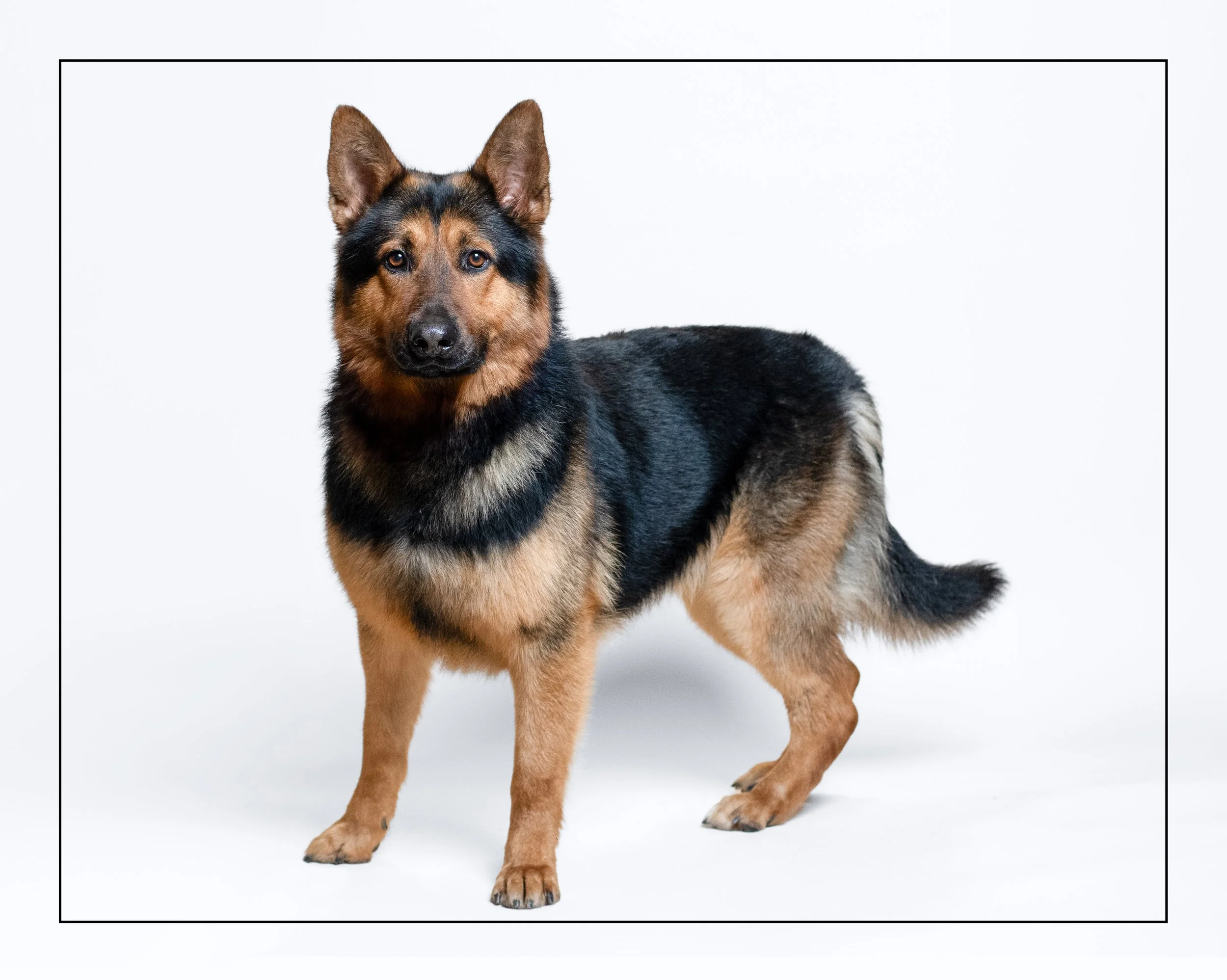 Charlie01-1018.jpg