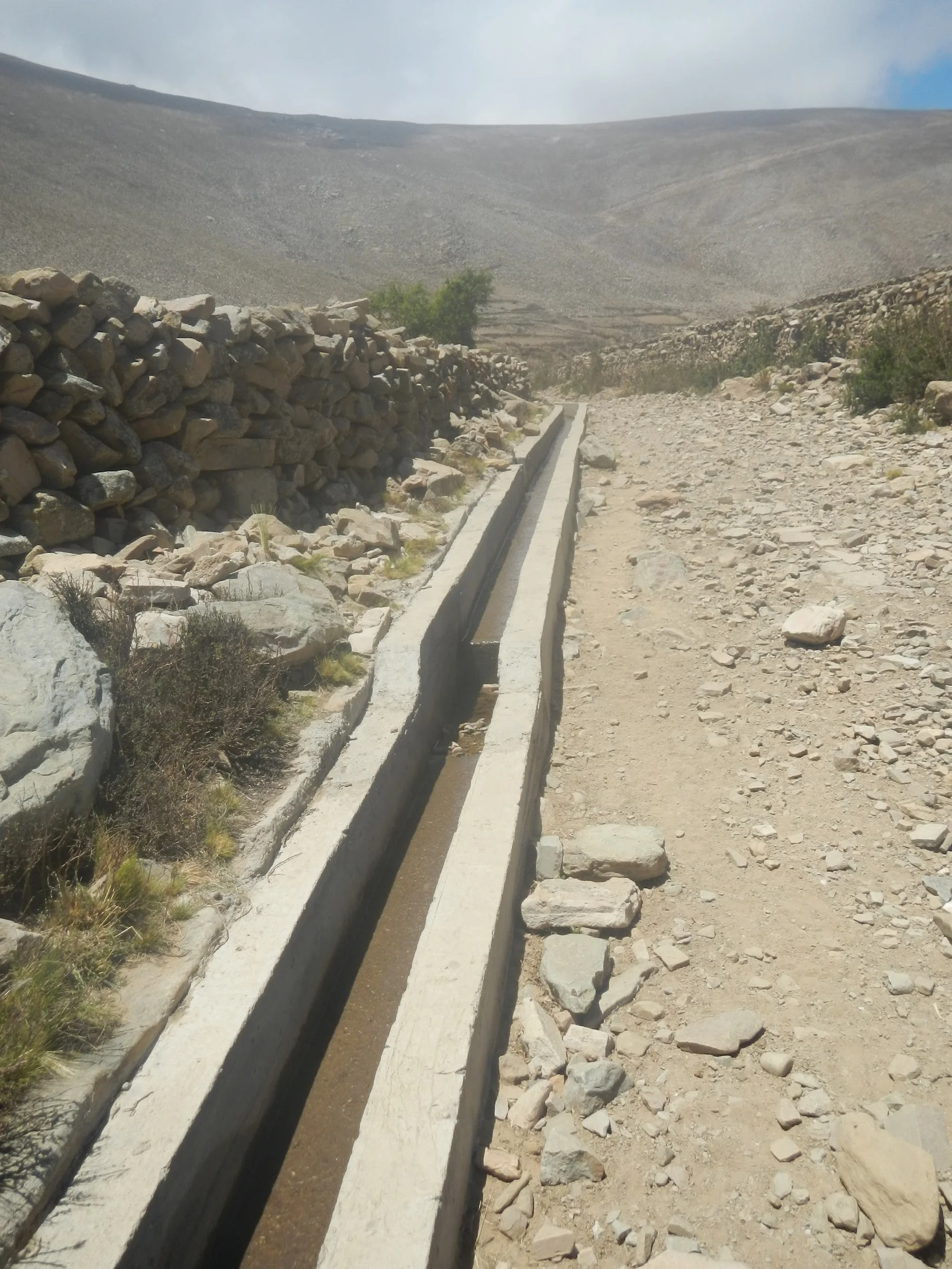 DSCN1394.JPG