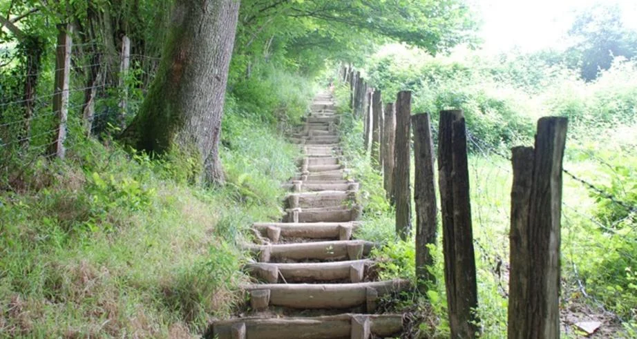 TAKING THE FIRST STEP