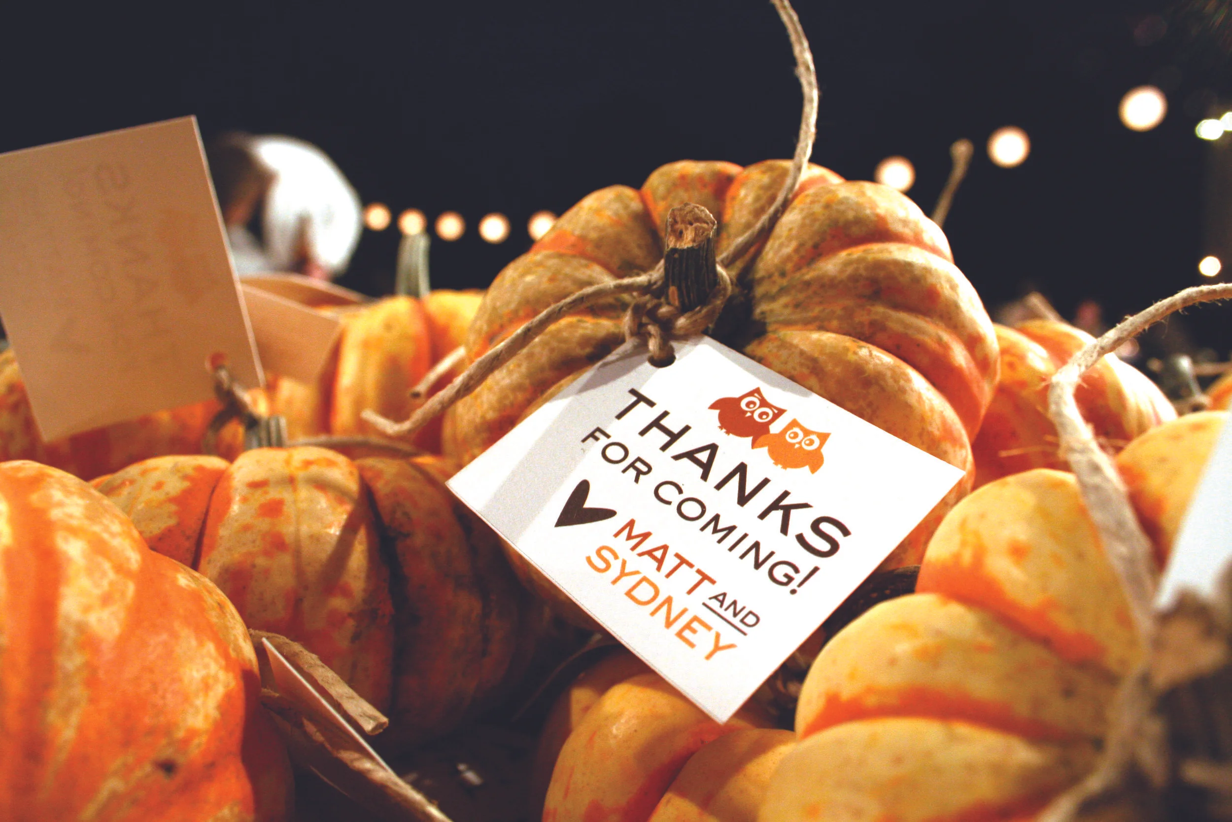 SM_PumpkinTags_6320.jpg