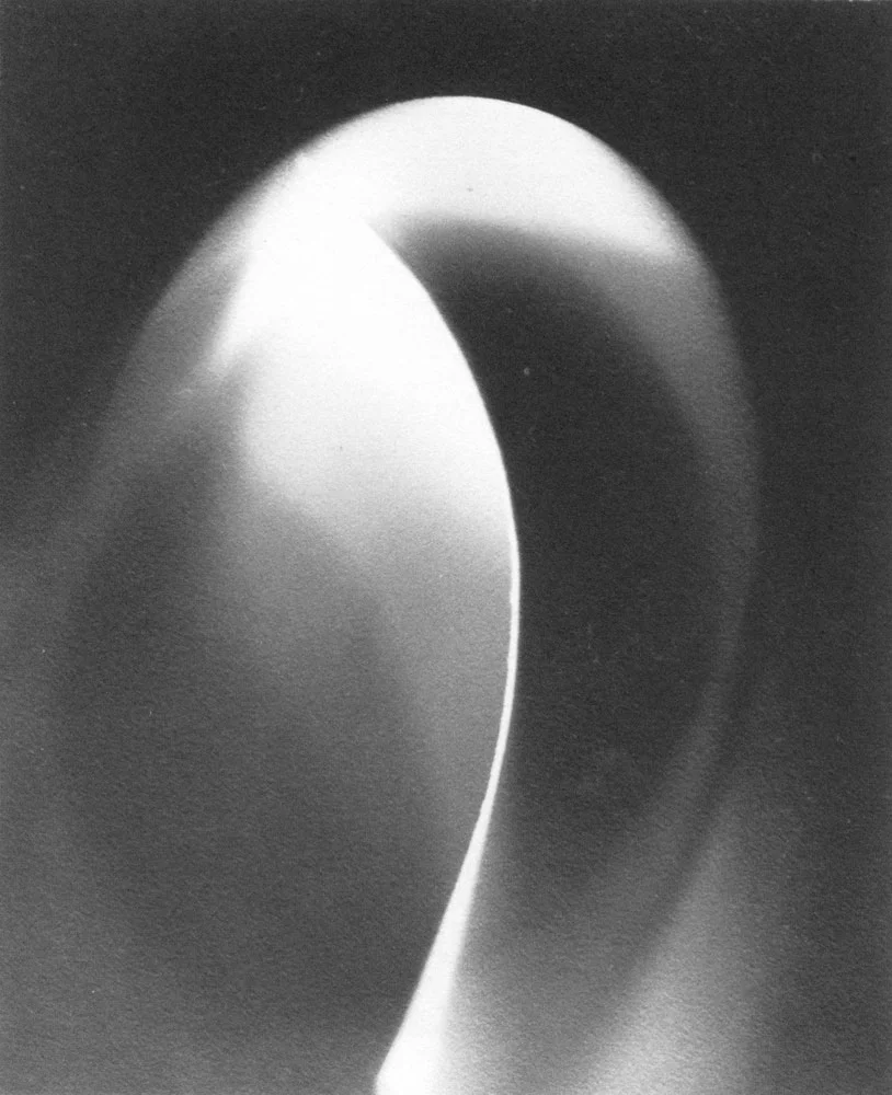1937-39_Photogram-14.jpg