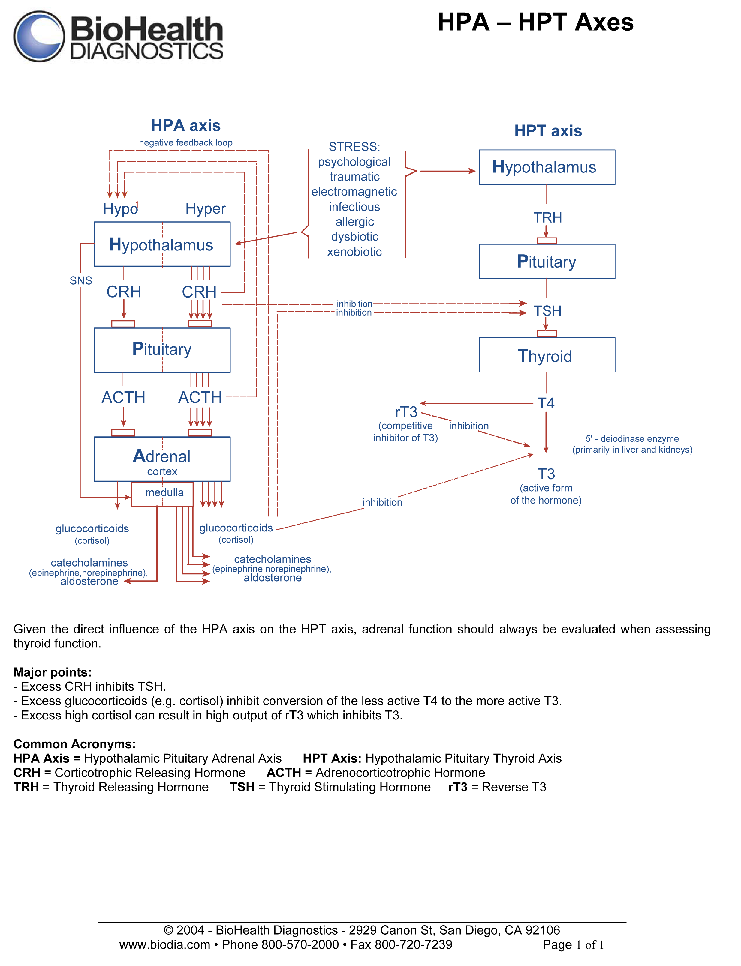 http://www.advancedhealing.com/wp-content/uploads/2012/07/hpa_hpt_axis_chart.pdf