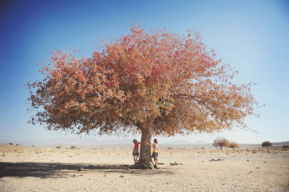 Kirsty-Larmour-CMDP-006-beautiful-tree-Meymand-Iran.jpeg