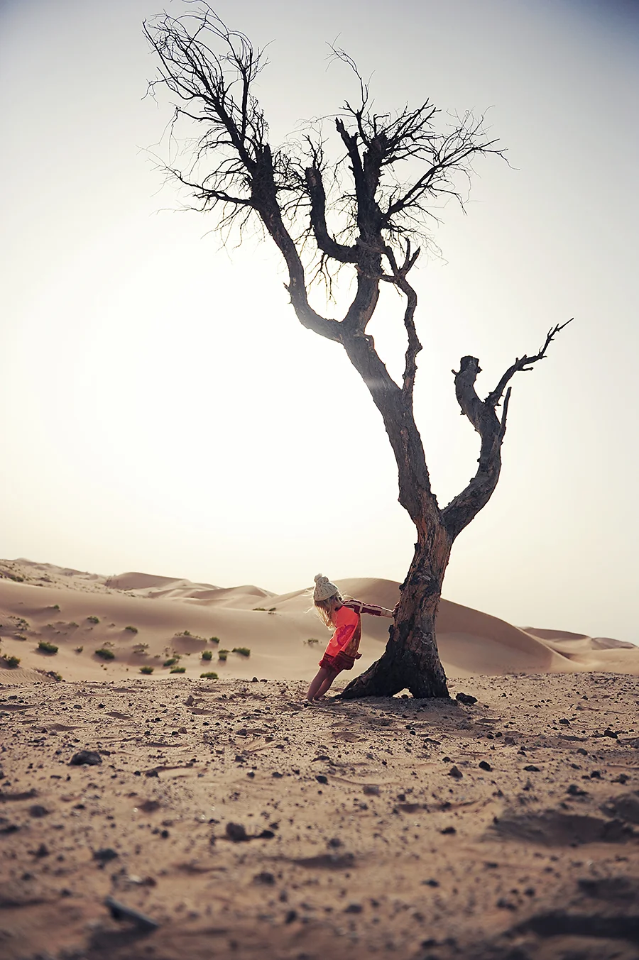 KLP CC desert 02.jpg