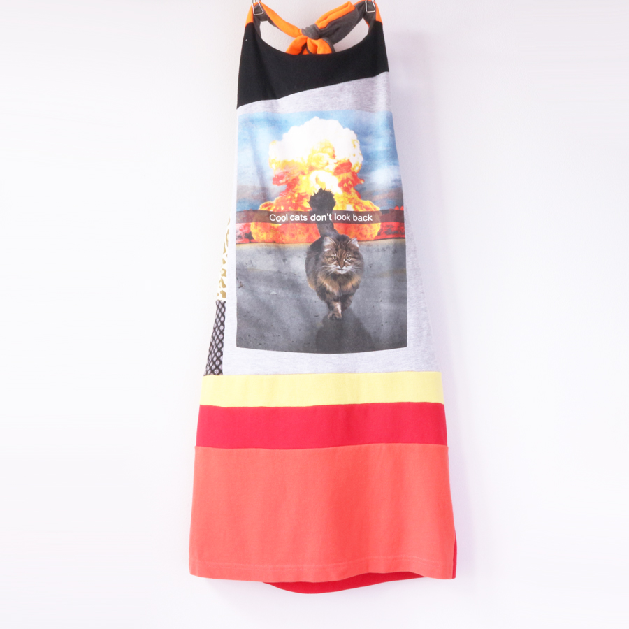 8:10 cool:cats:patchwork:halter.jpg