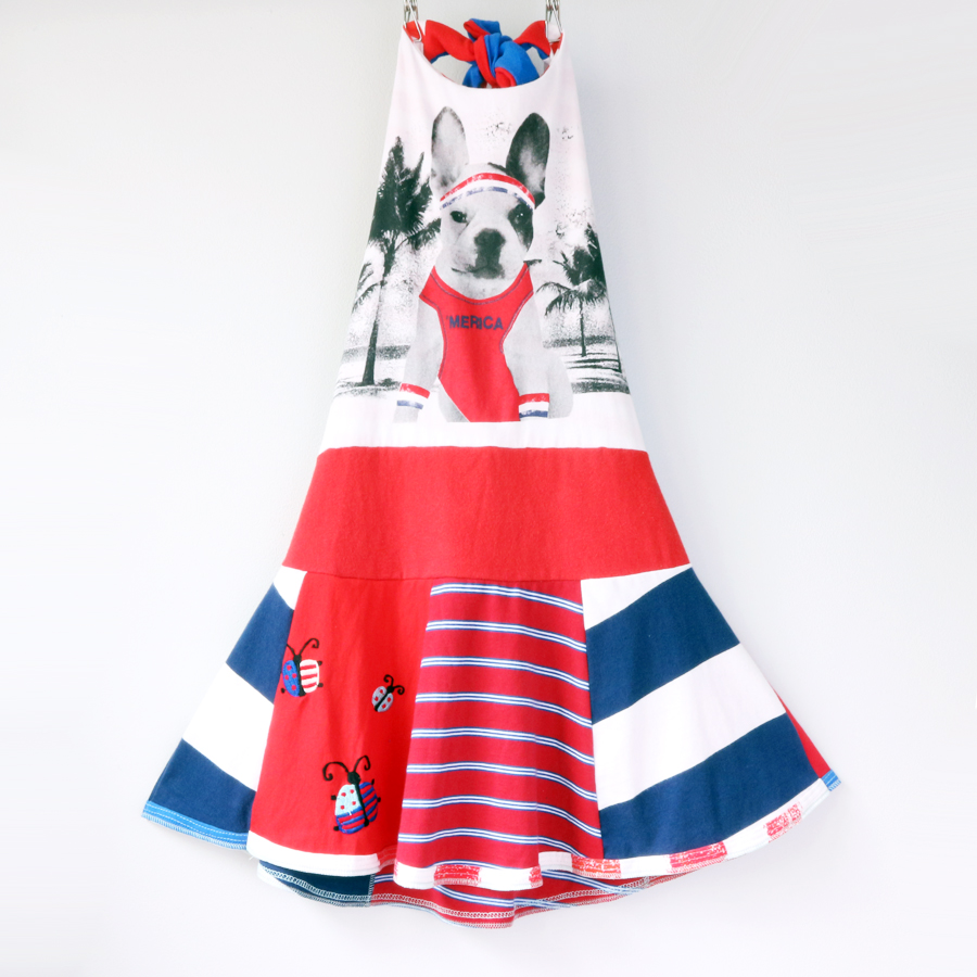 ⅞ merica:boston:terrier:twirl:halter.jpg