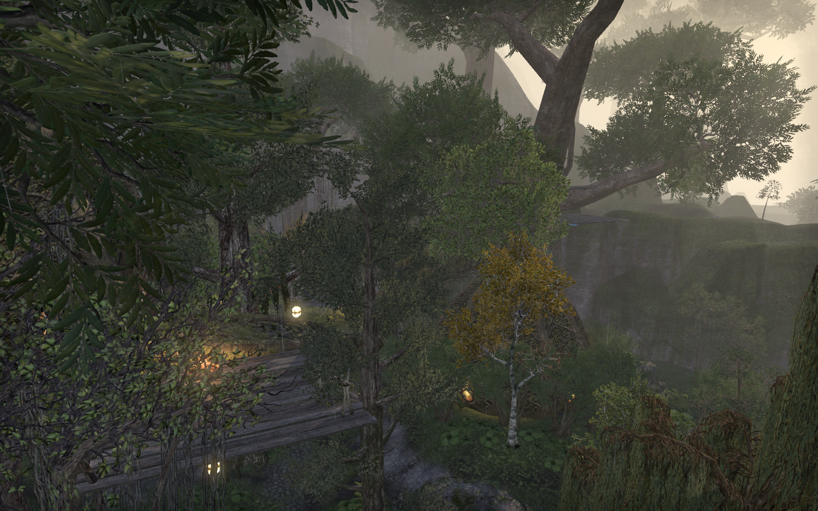 Dranacea's Tree Fort