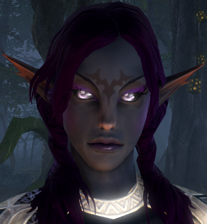 Sygiua, guild leader of Abyss Rising