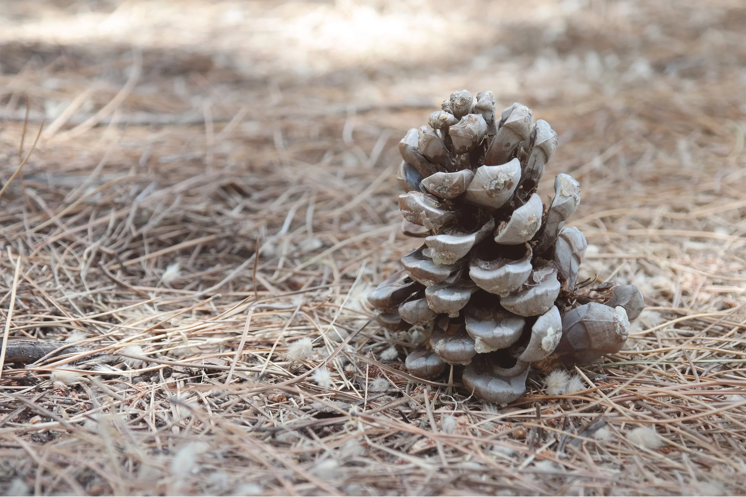 Why It Doesn't Matter What Will Happen