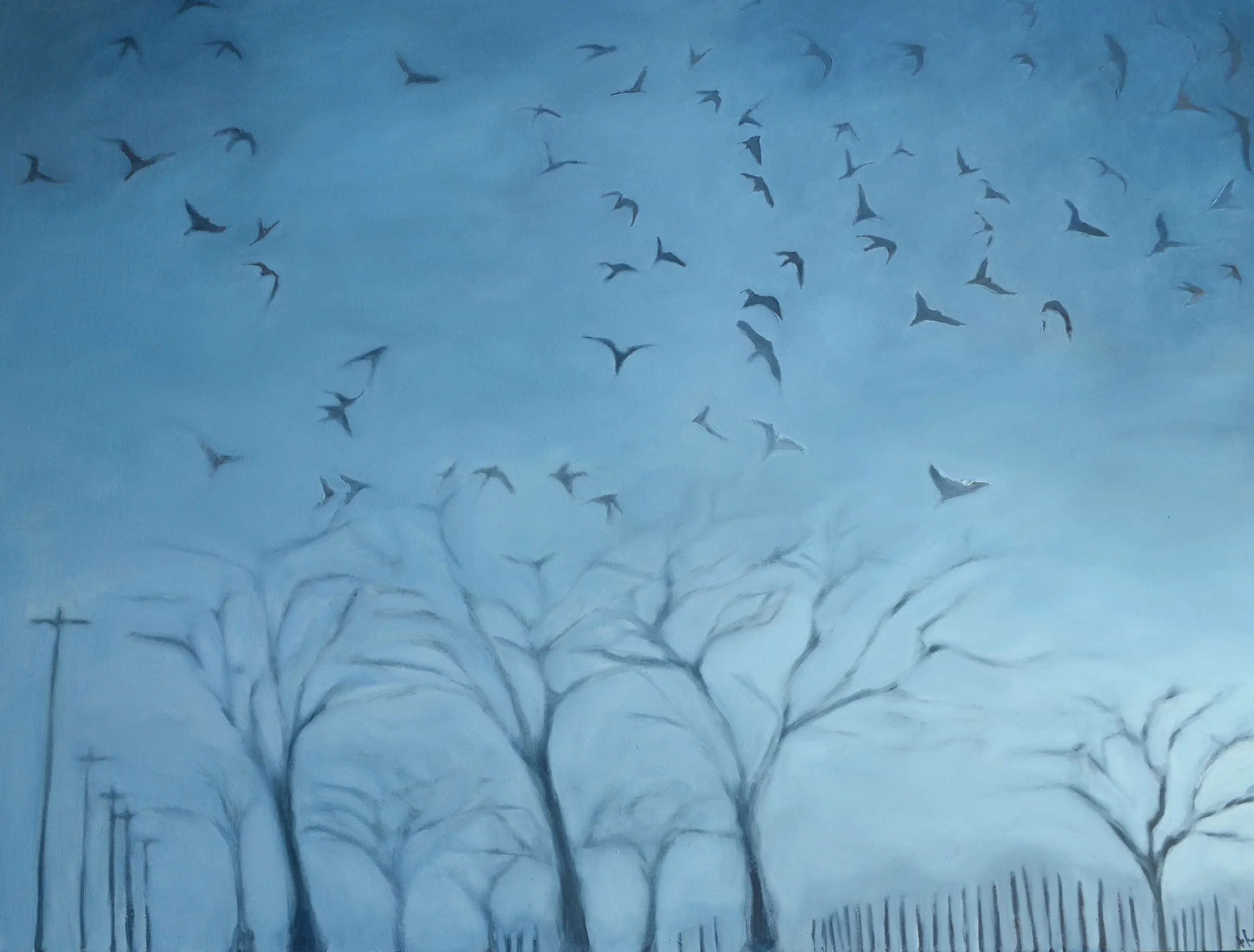 CR 101A Crows