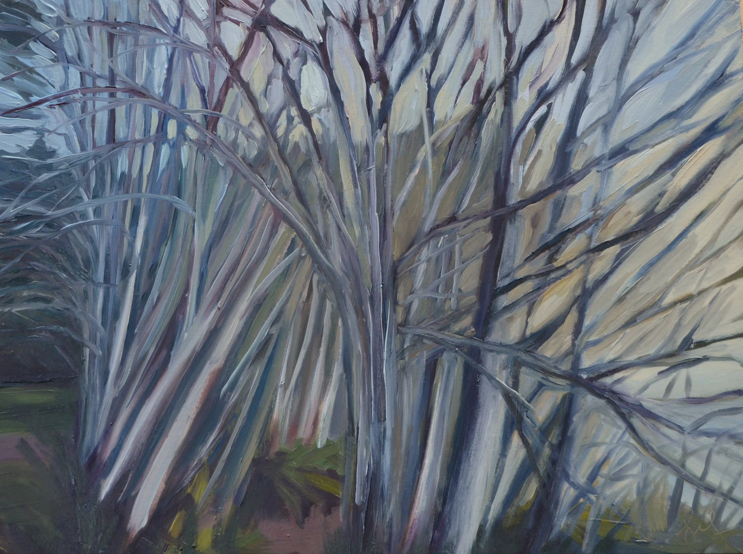 Alders From Here