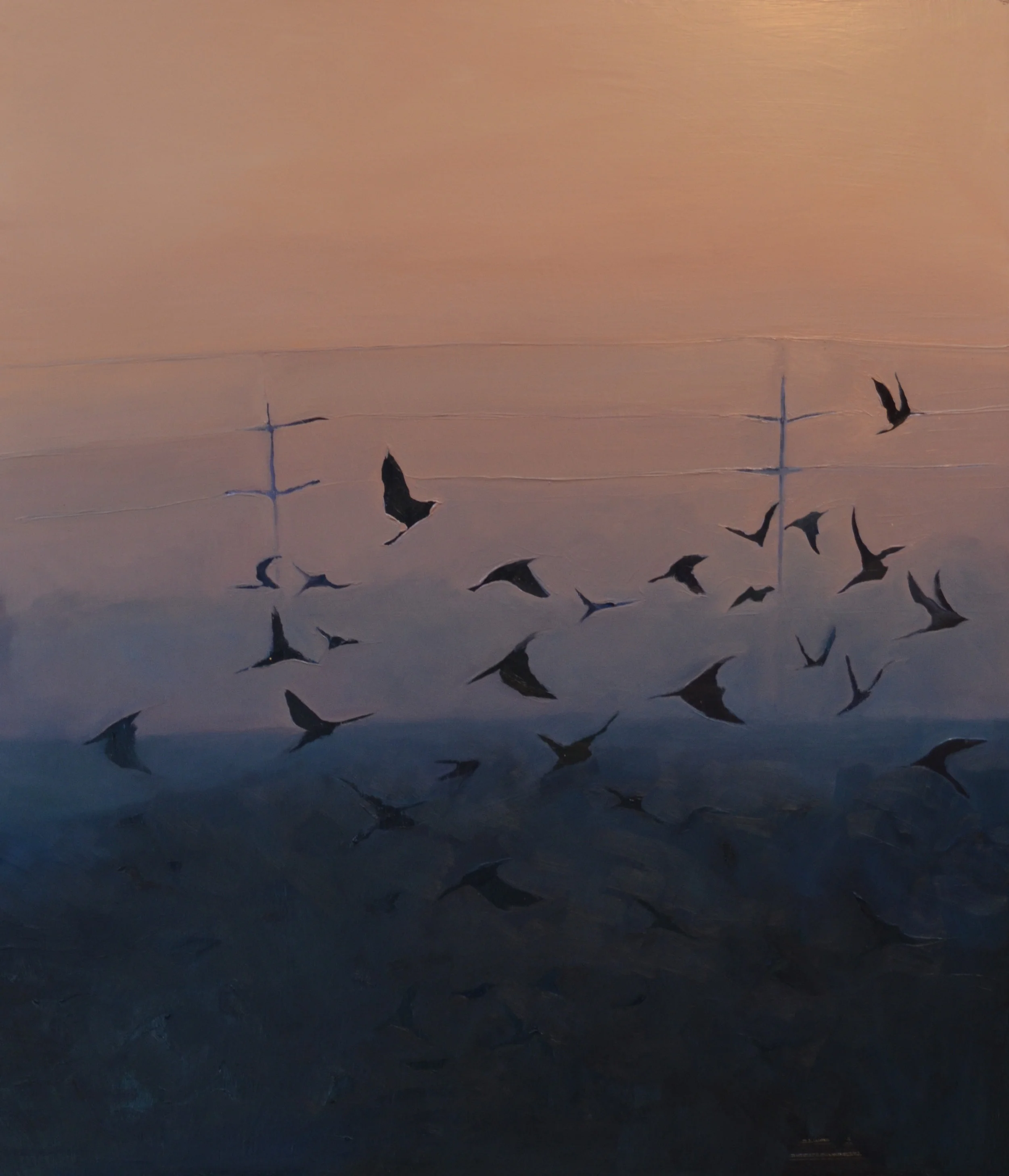Birds, Redwings From Here