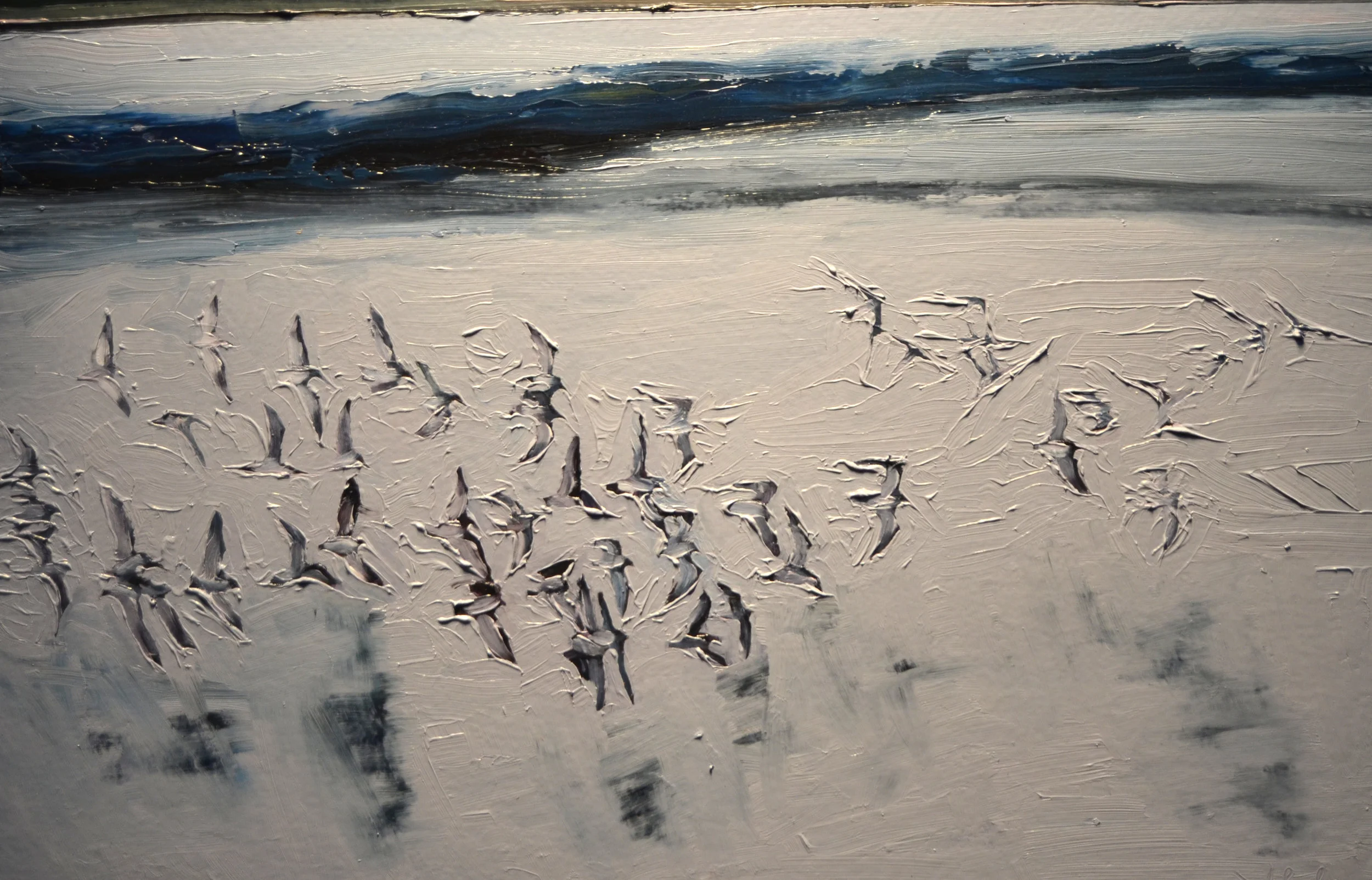 Birds, Shore From Here