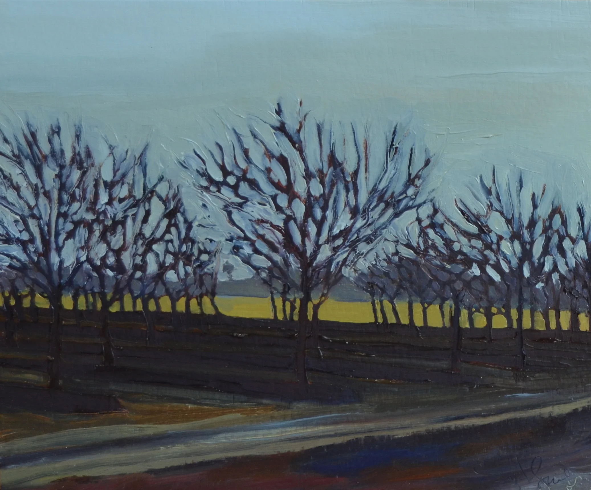 Bare Orchard
