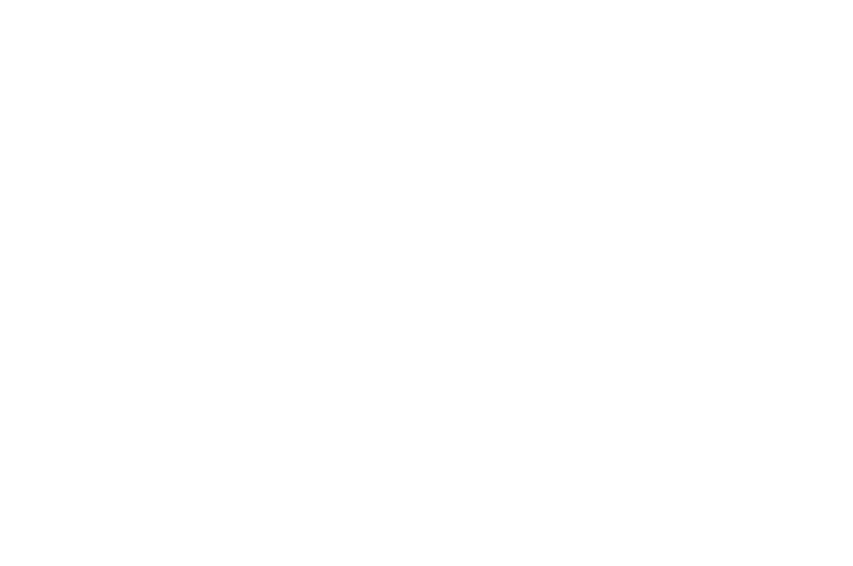 Semi-Finalist - Nashville Film Festival - Short Screenplay - 2017(1).png