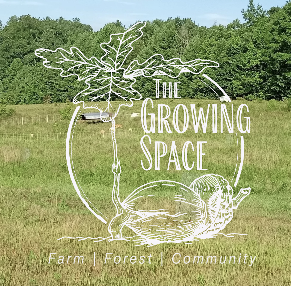 The Growing Space Farm