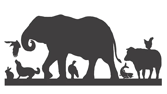 Animal_rights_academy_slider.jpg