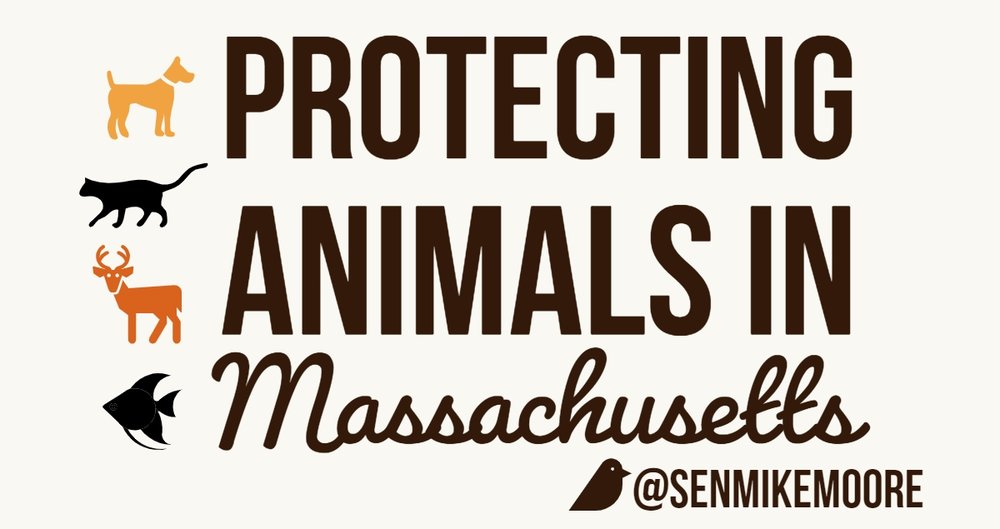 Senator Mike Moore – Newsroom – Legislation Protecting Animal Welfare and  Safety Signed into Law
