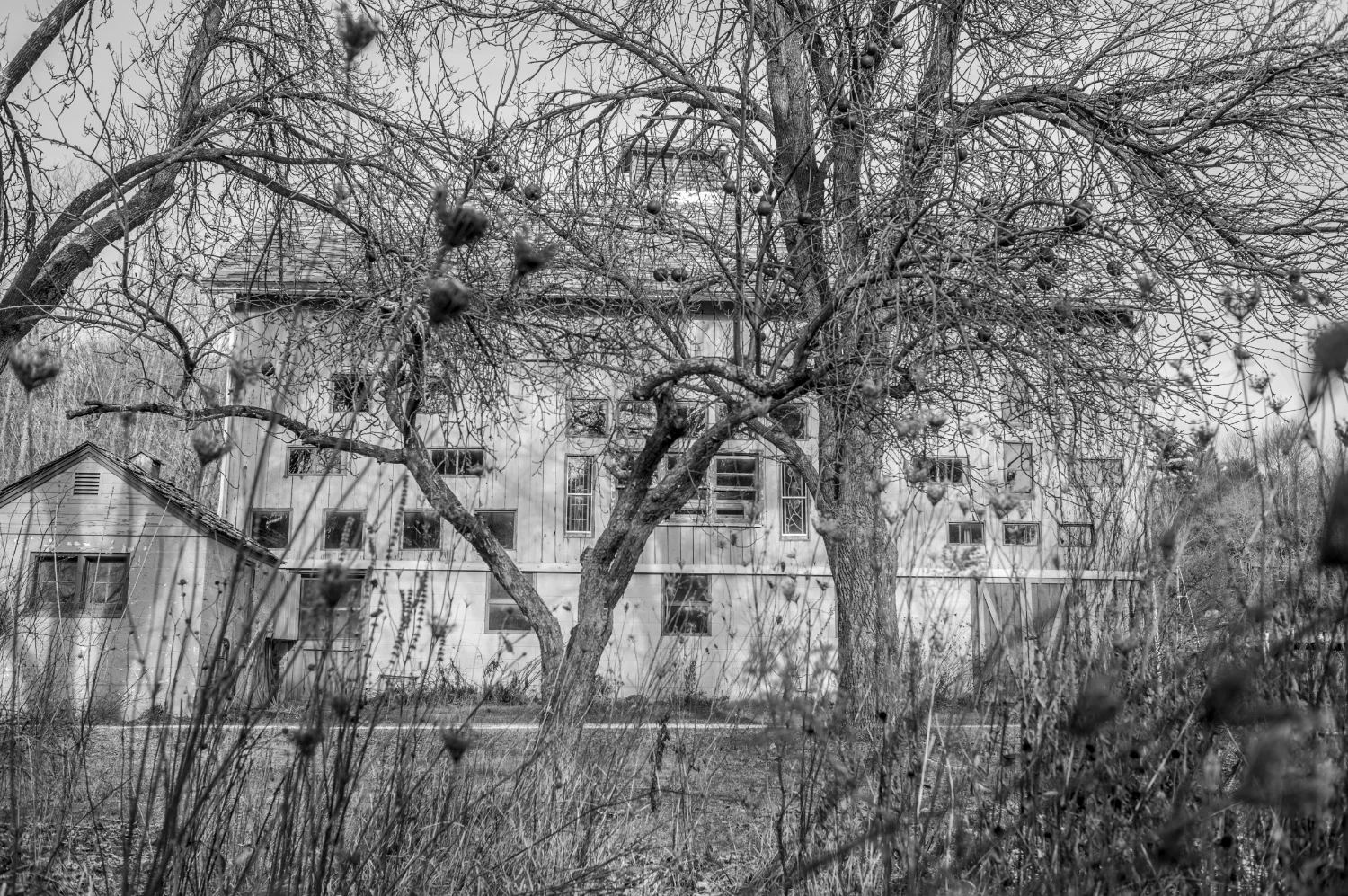 Iola, Wisconsin USA off of Wasrud Road