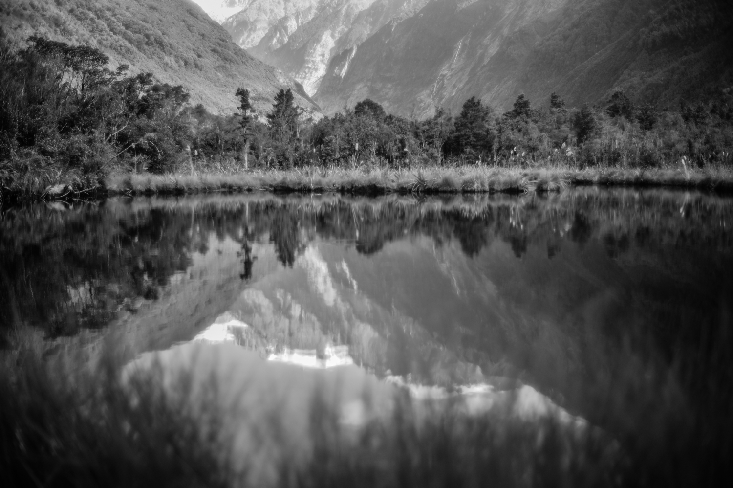 Franz Josef Glacier National Park, South Island, New Zealand