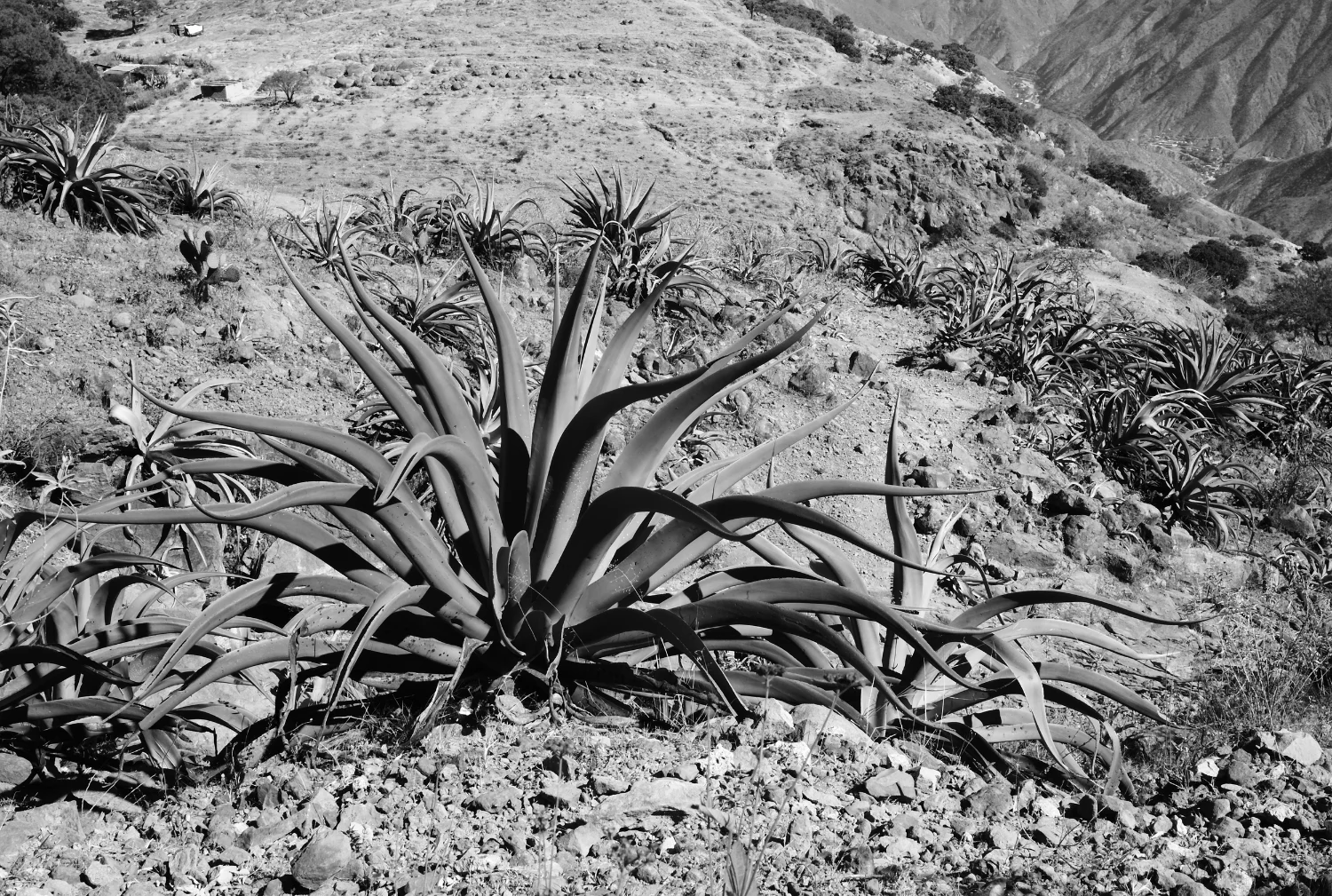 09_#1_Mexico-000021.jpg