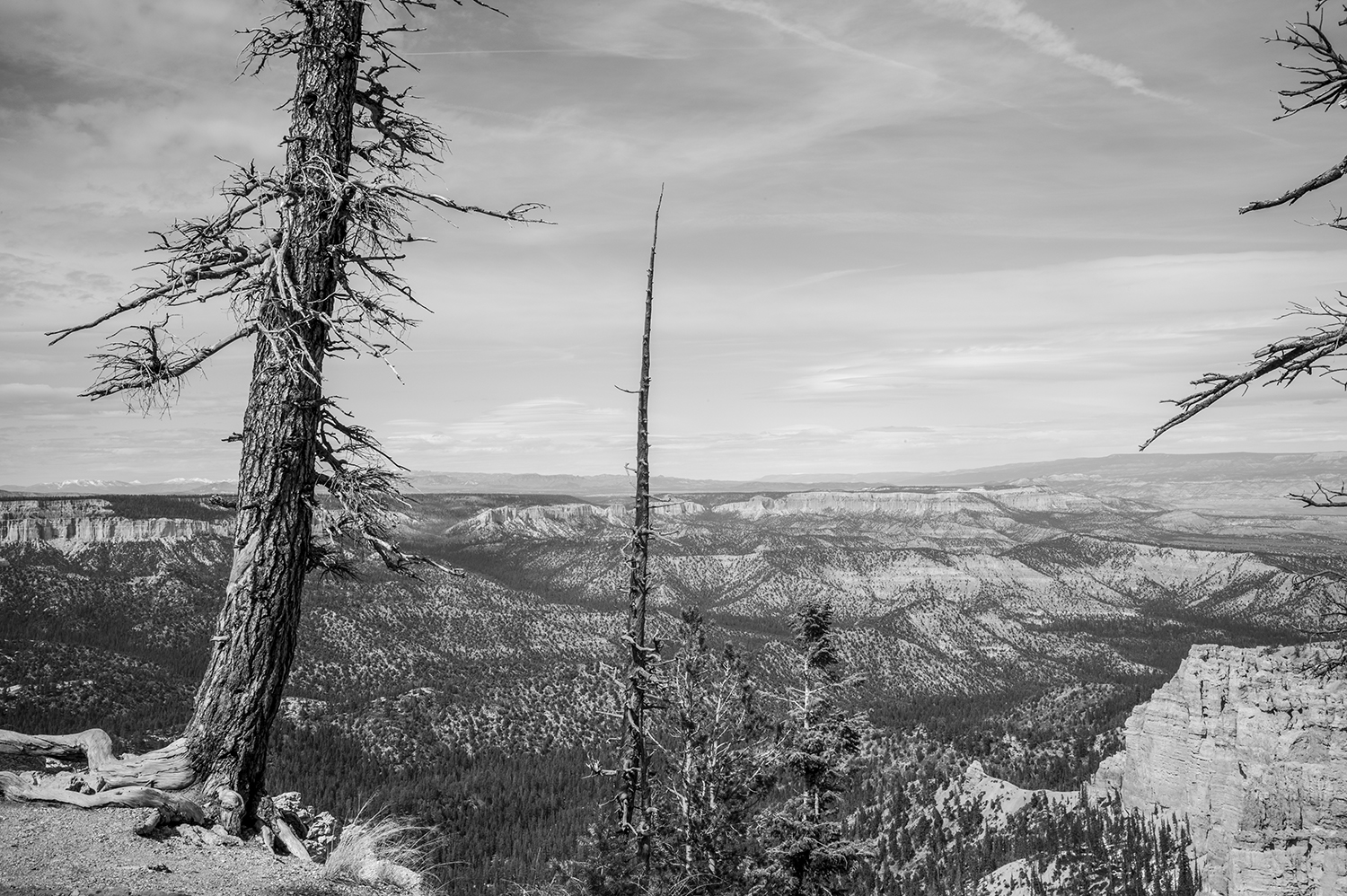 Bryce Canyon National Park, Utah, USA