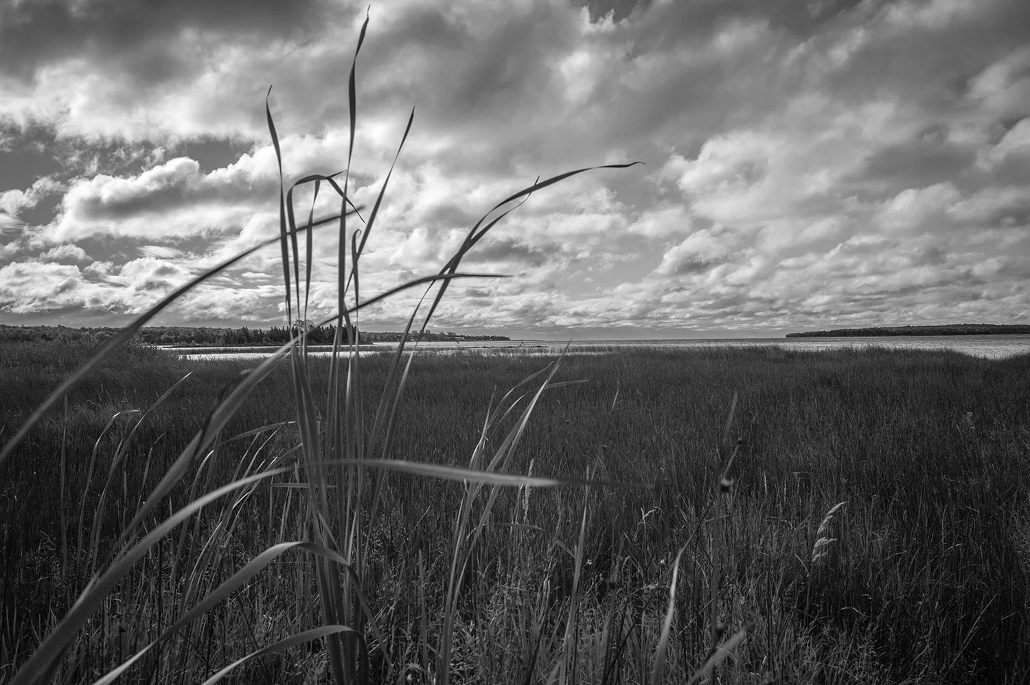 Horizon Marsh, Wisconsin USA