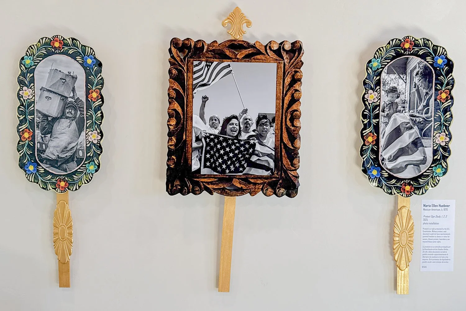 Protest Signs sharing Immigration Success Stories, Photography as Activism  