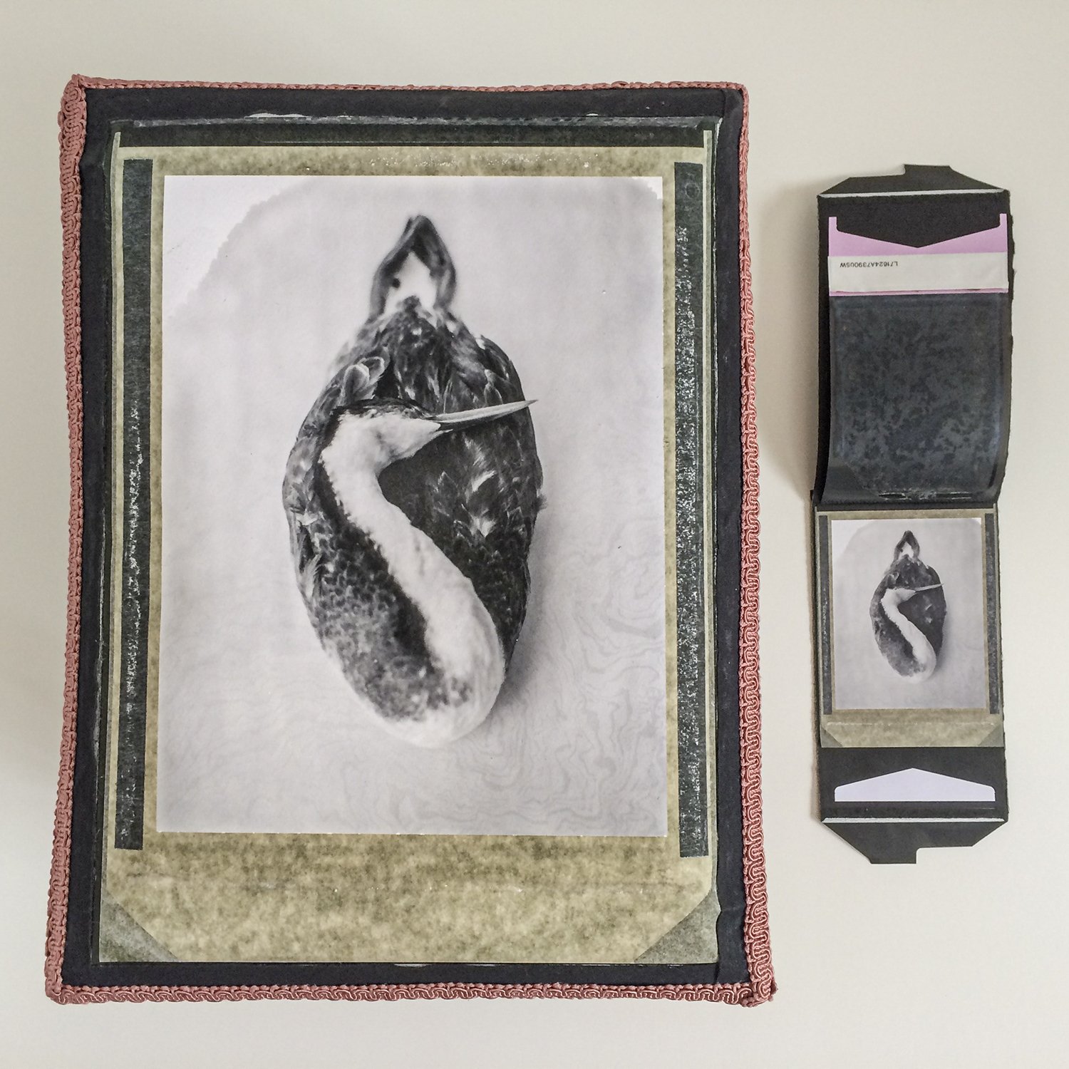 4x5 Polaroid Western Greeby Stool 