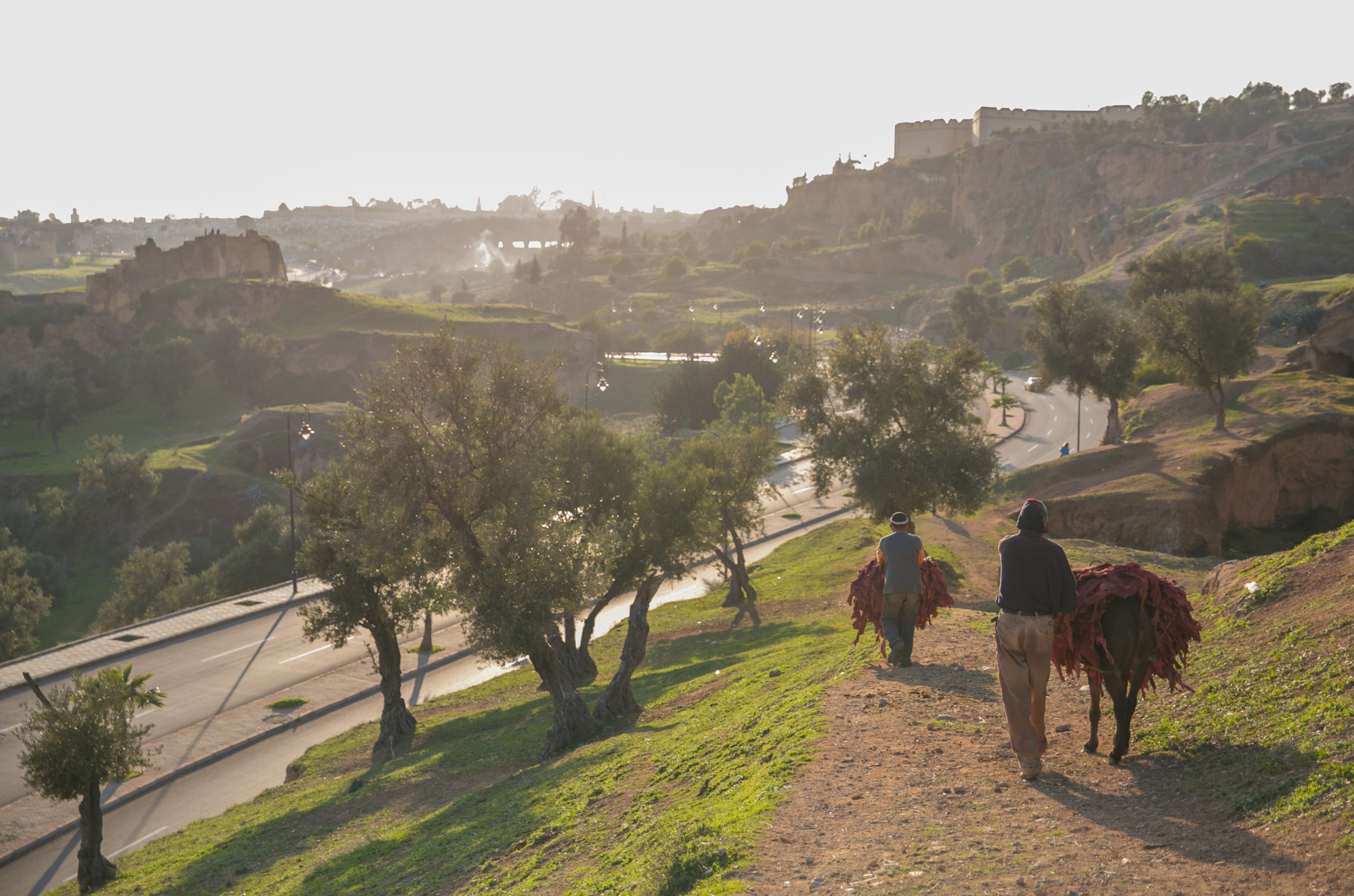 After the leather has dried in the sun, workers take it back to the tannery using mules.