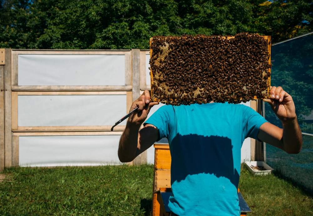 My friend Greg, holding a hive frame at the Insectarium in Montreal.