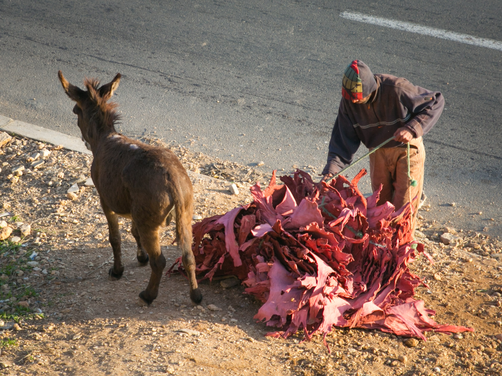 A worker ties up dried leather that has fallen off of a donkey while in the middle of transporting it down the hill.