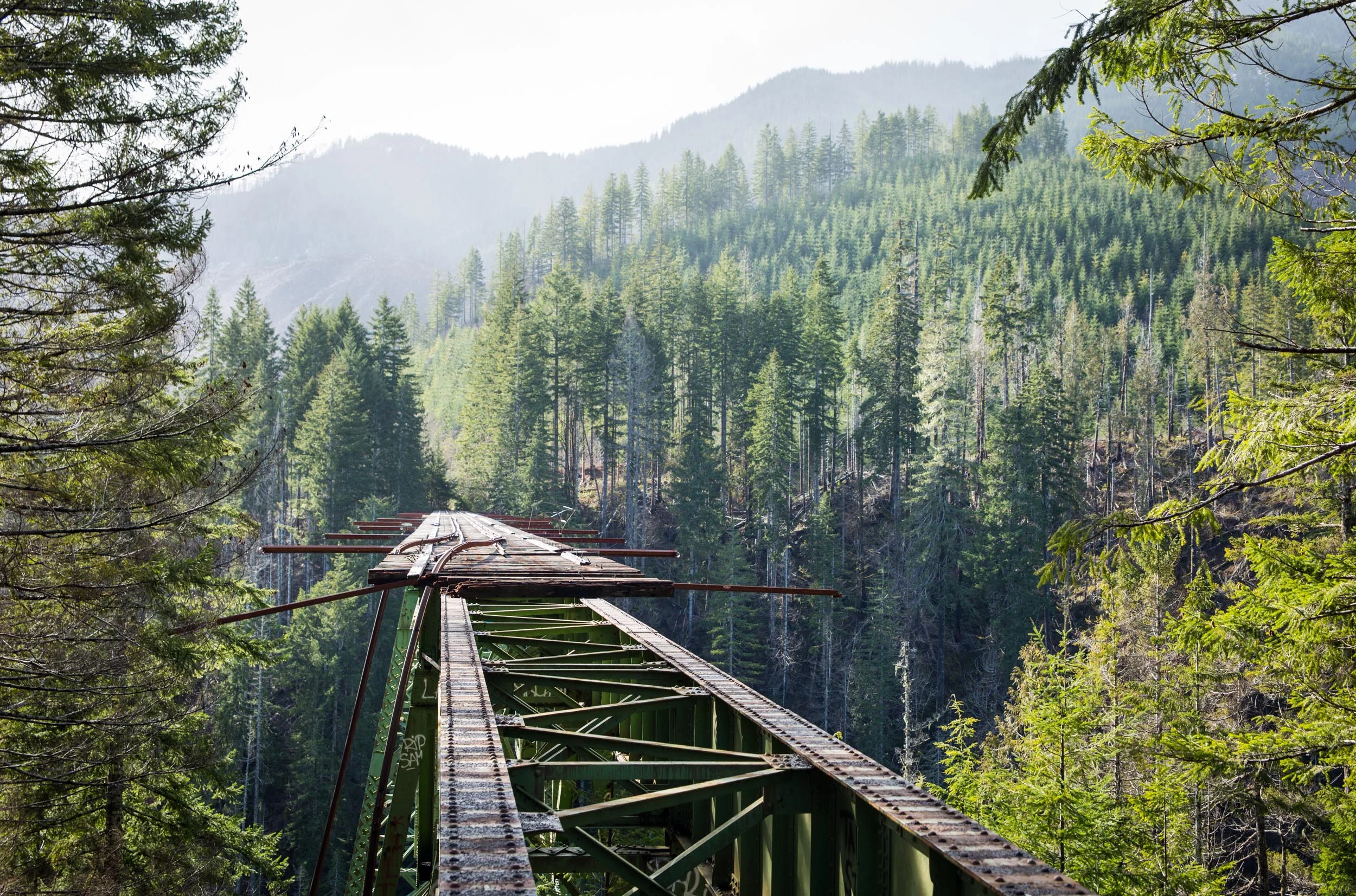 The Pacific Northwest, more specifically, Vance Creek Bridge, Washington. My friend Eric took me here and challenged me to walk across. I took one look at the drop below and said "no". 