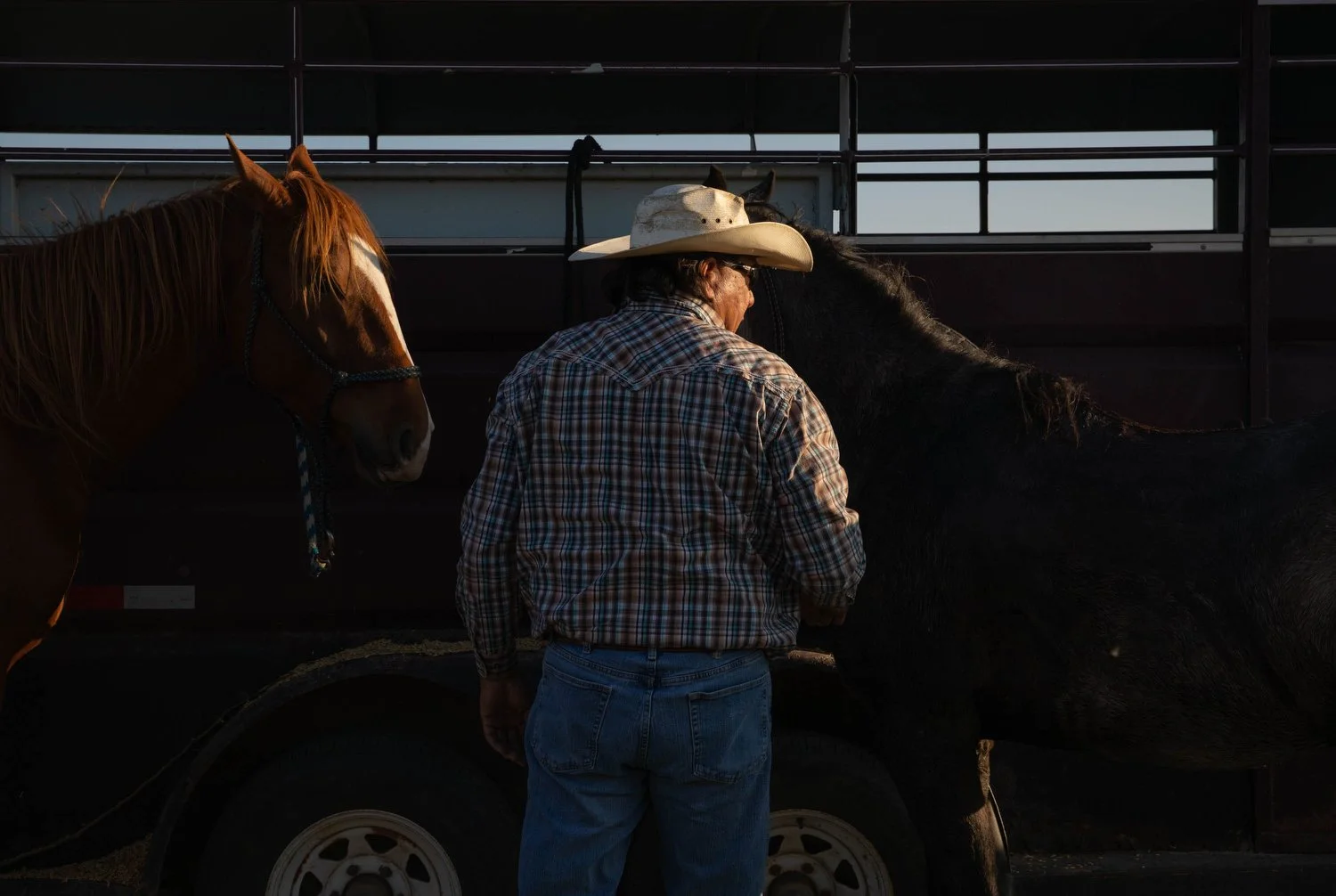  Travis Mazawasicuna, 55, of the Sioux Valley Dakota Nation Unity Riders tends to his horses on October 10, 2021. 