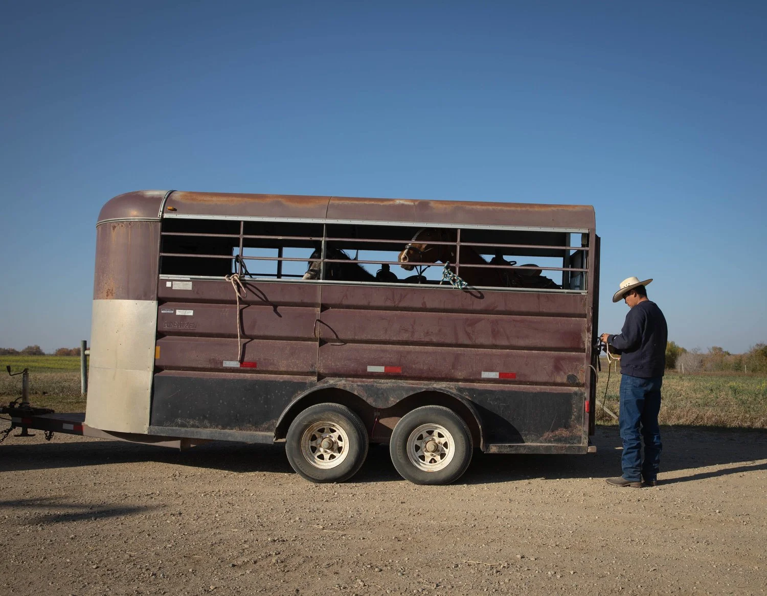  Chris loads the horses into a trailer during a ride. 