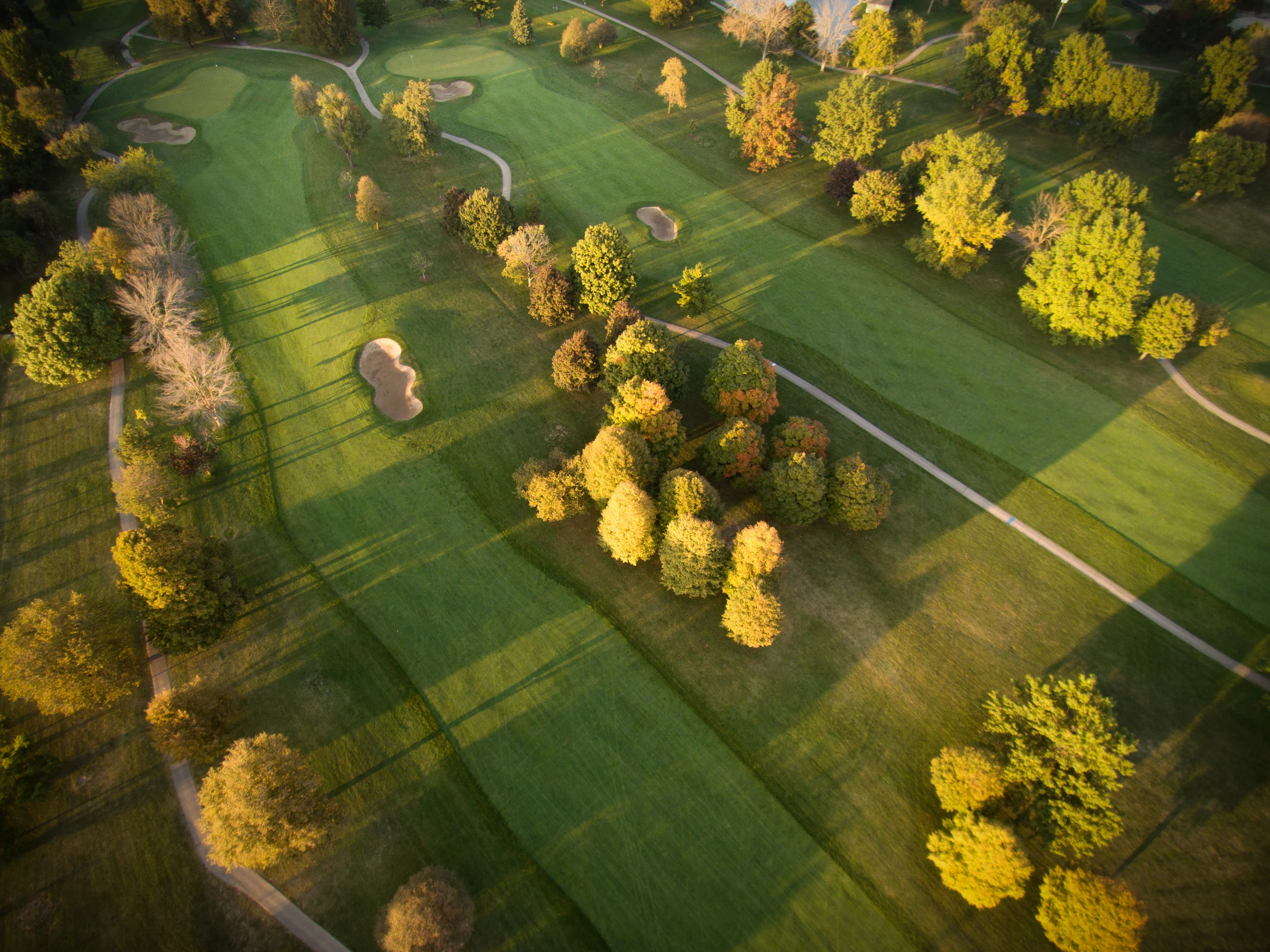 Unique perspectives of your course can help differentiate your course from your competition