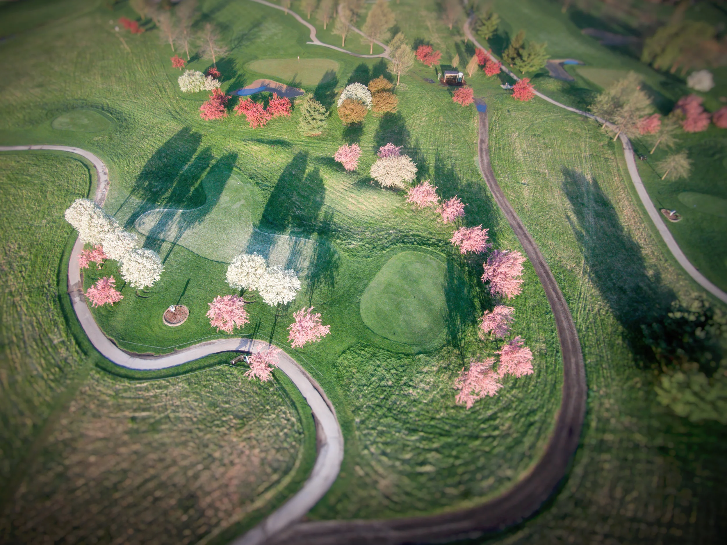 DJI00794-Edit-Edit.jpg