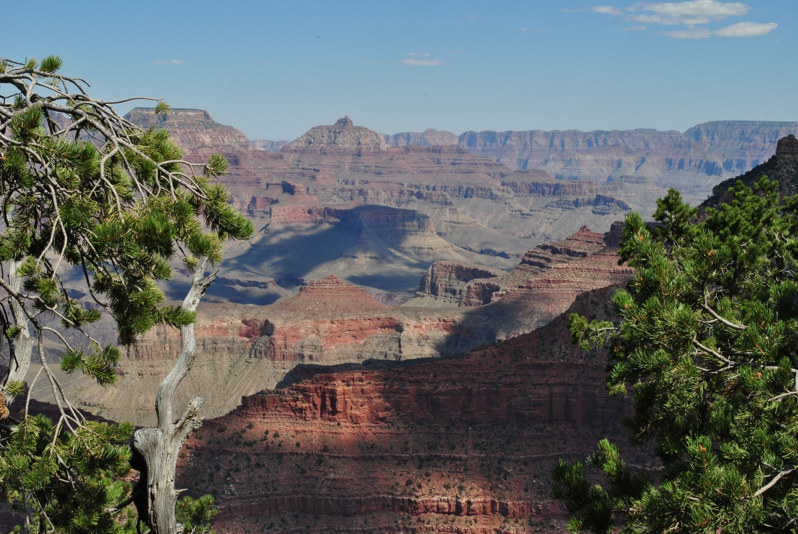DSC_0619.JPG
