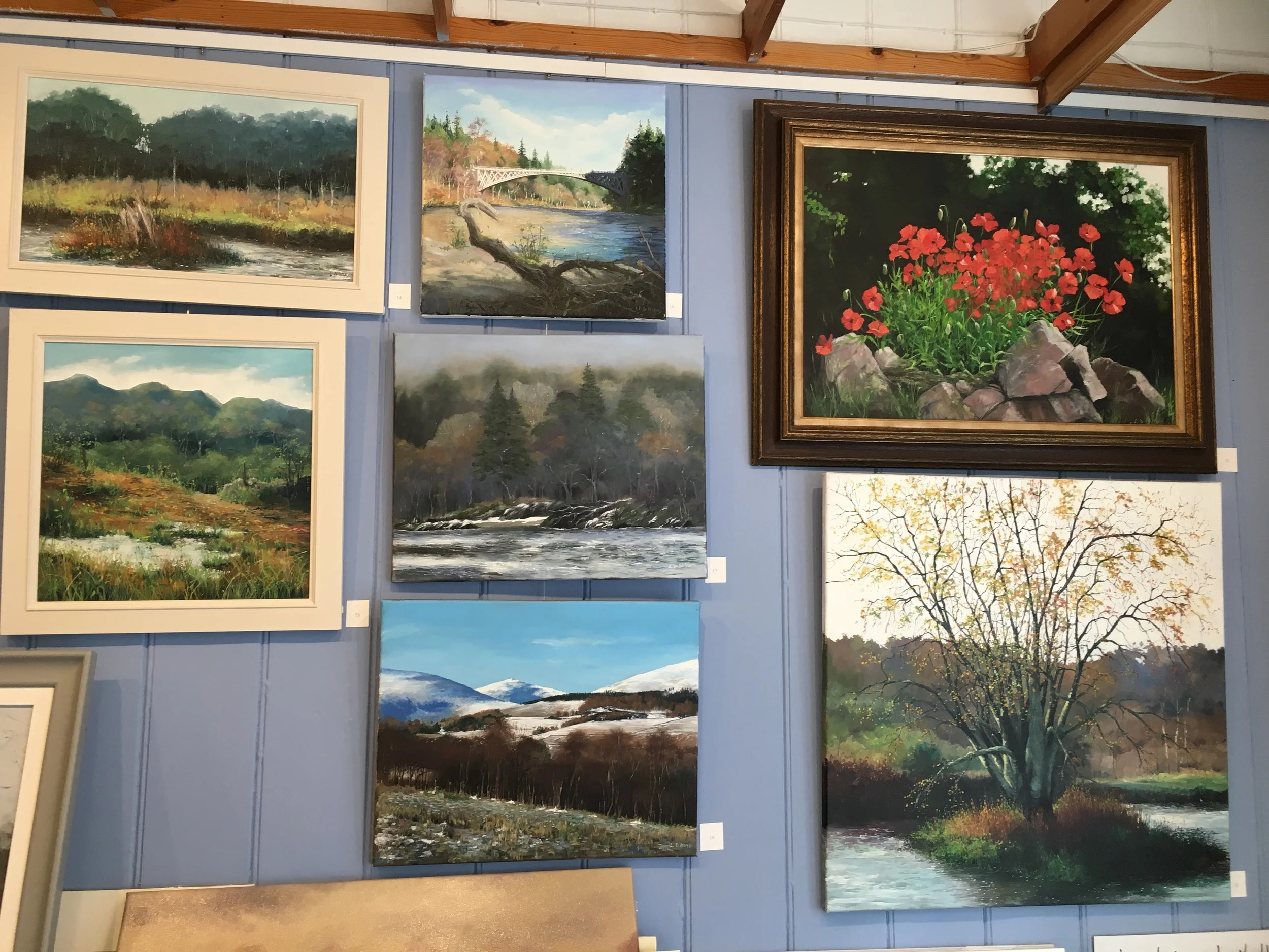 Works in oil by Lesley Boyd