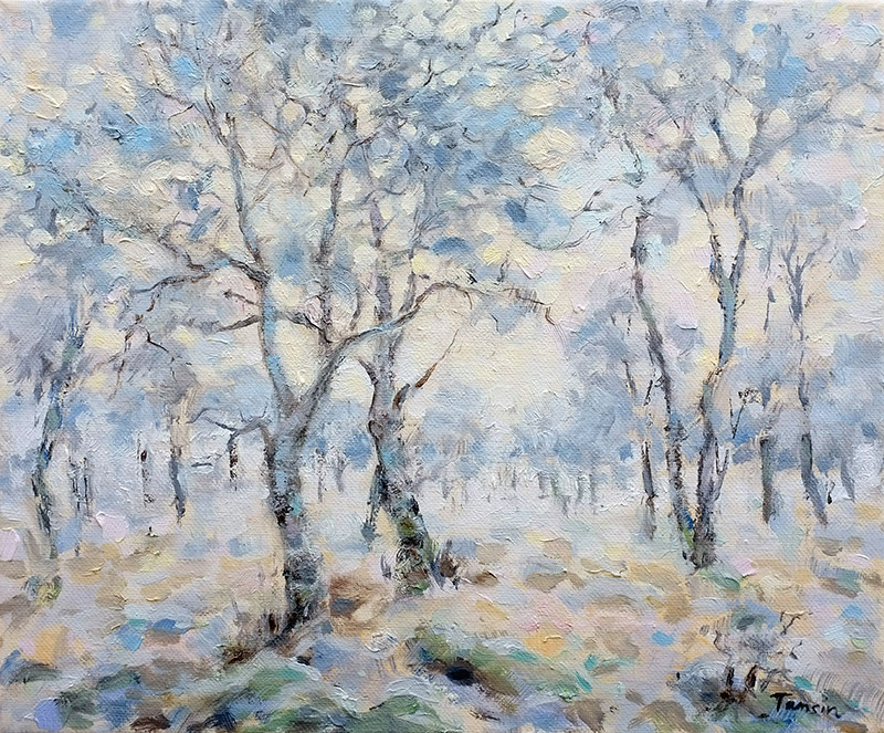 Woodland in Snow