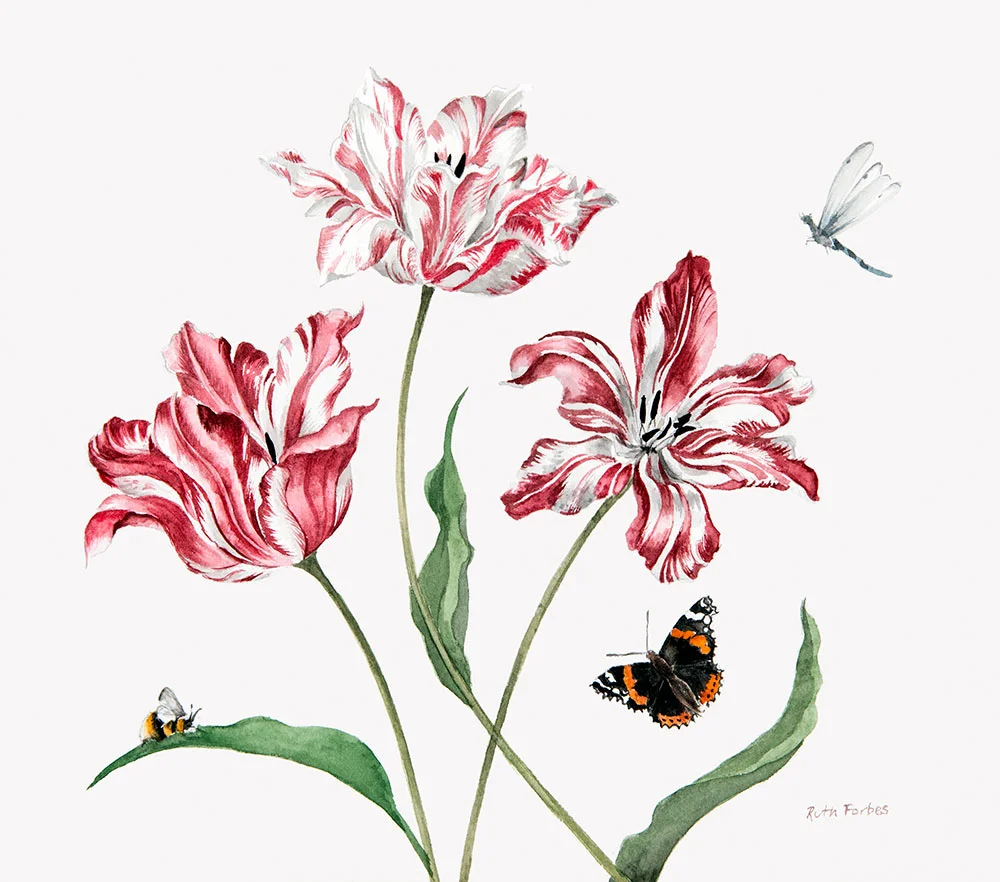 Tulips & Bugs