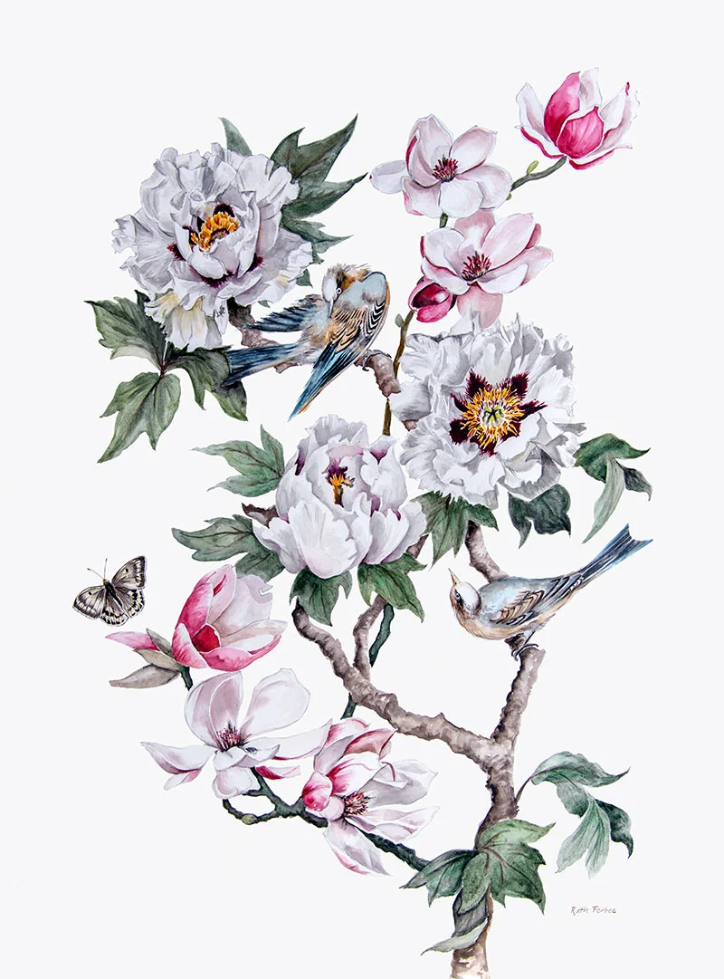 Birds & Butterfly