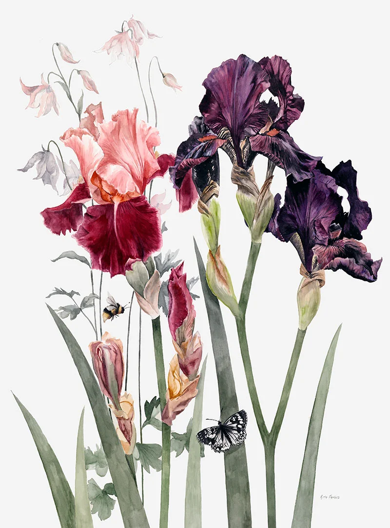 RF-F006-Iris-&-Butterfly-Web.jpg