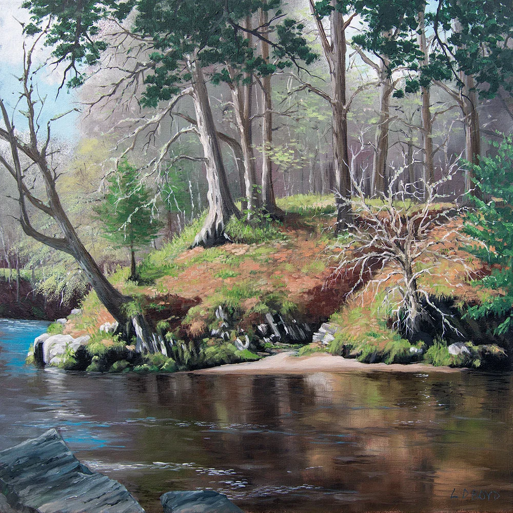River Findhorn near Logie