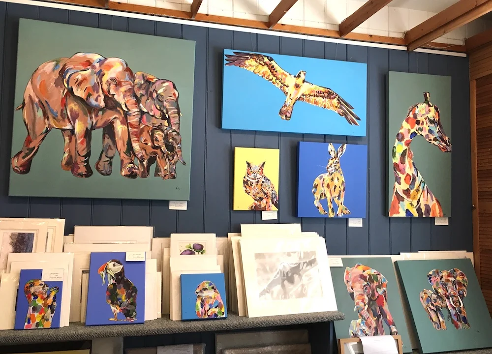 Colourful animals by Naomi Bunyan