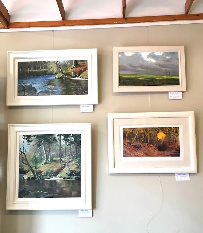 Lesley Boyd - June 2018