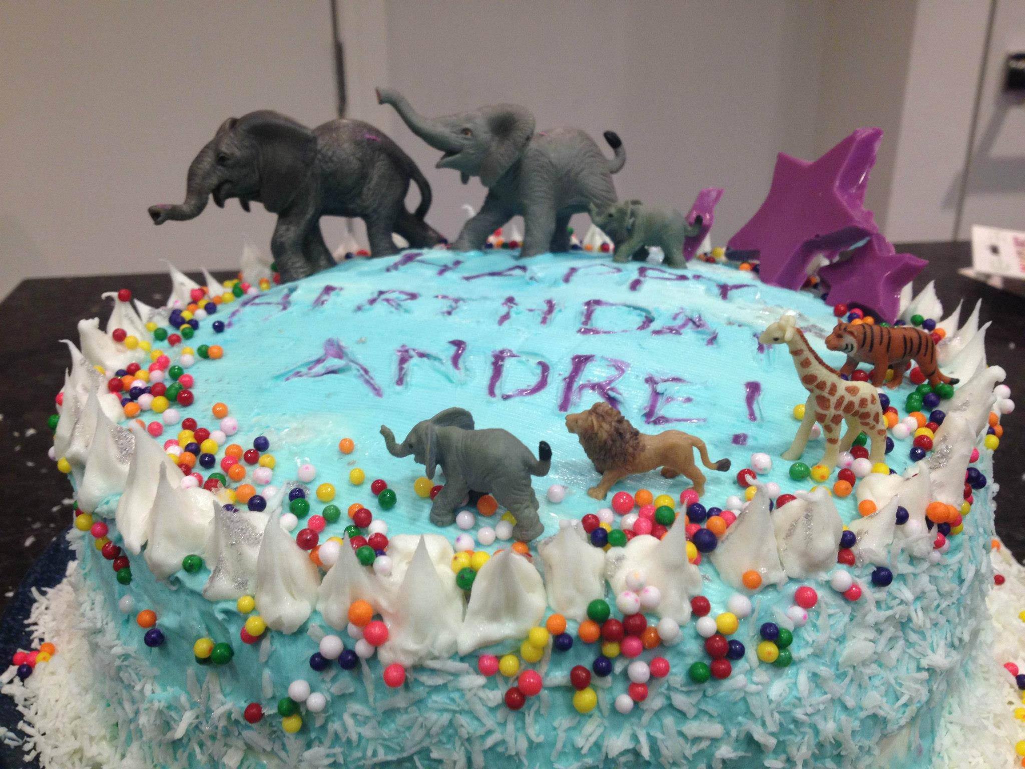 andre's circus-carnival-elephant family, 5 layer, rainbow surprise ice cream cake