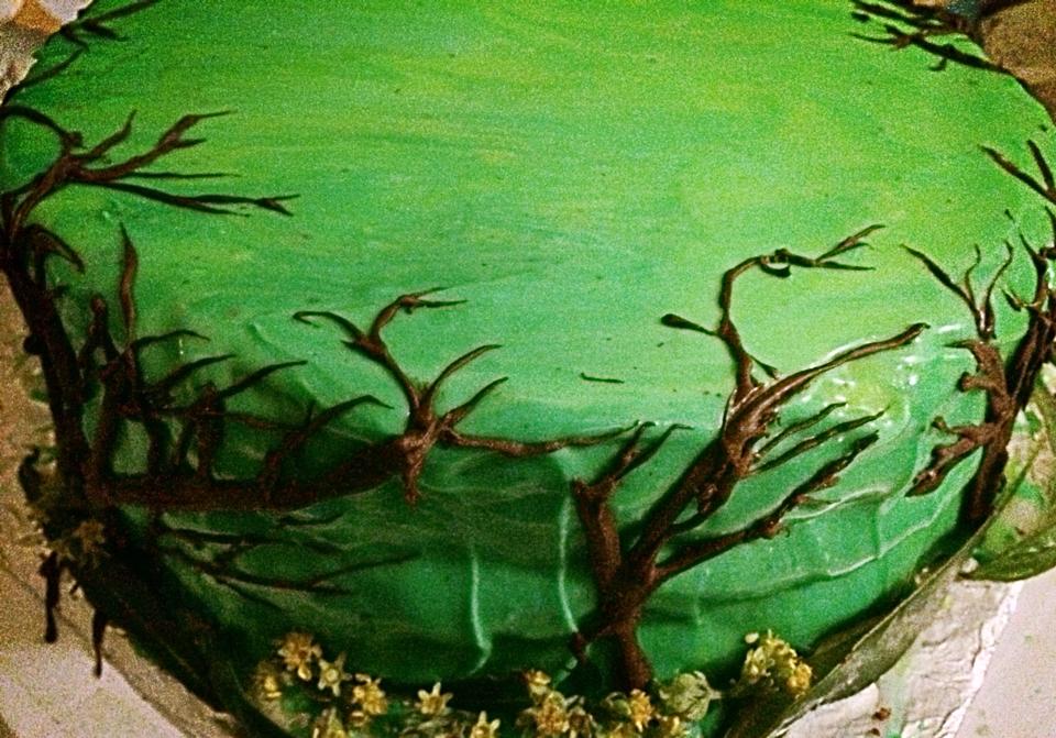 Becky's vegan forest cake