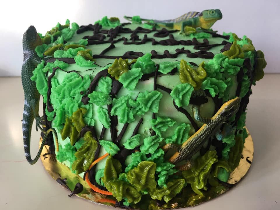 Strawberry balsamic cashew ice cream layered inside a vanilla banana vegan cake. Laura loves geckos 🦎 so I made trees out of chocolate and multi colored leaves.