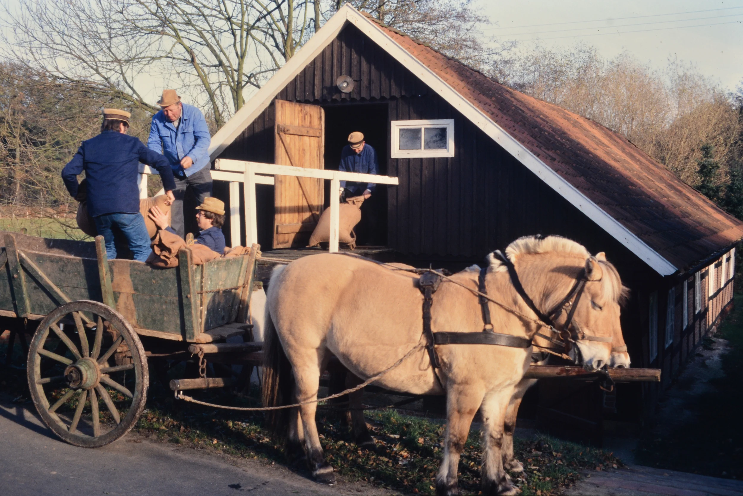 Abb 11. GGE_6511.JPG